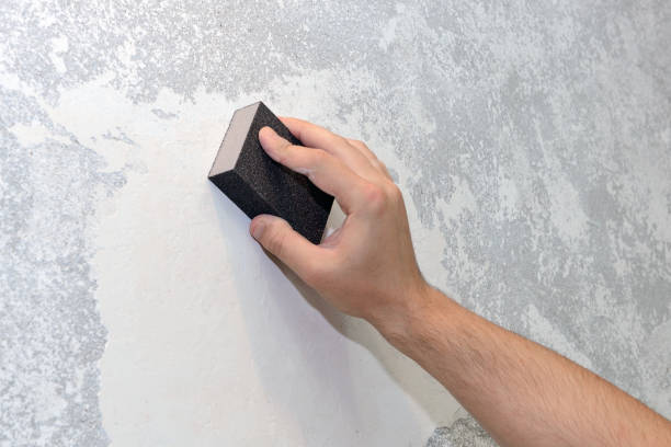 Best Air Quality Testing for Mold Spores  in Pacolet, SC