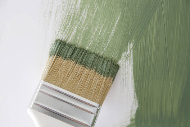 Best Mold Damage Restoration  in Pacolet, SC