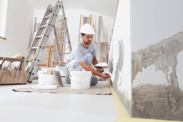 Best Emergency Mold Remediation  in Pacolet, SC
