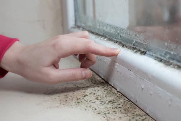 Best Indoor Air Quality Assessment  in Pacolet, SC