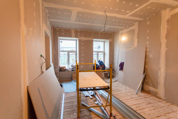 Best Attic Mold Removal  in Pacolet, SC